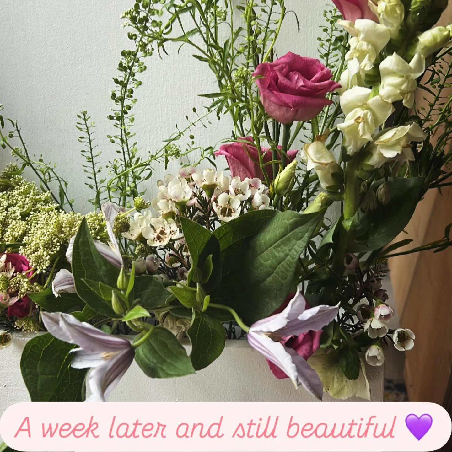 It pays to buy the best of blooms for wedding florals, when conditioned properly the flower and scent lasts so long and looks so pretty 🌺 lilac clematis has my heart.