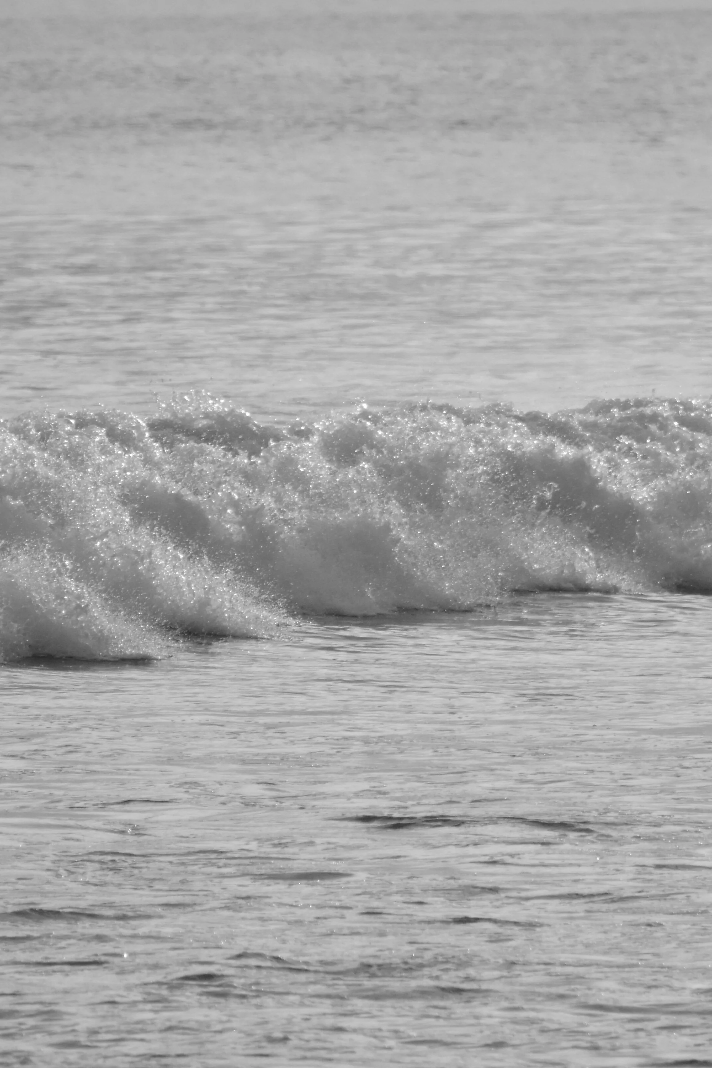 FAV_DSC_1407.jpg