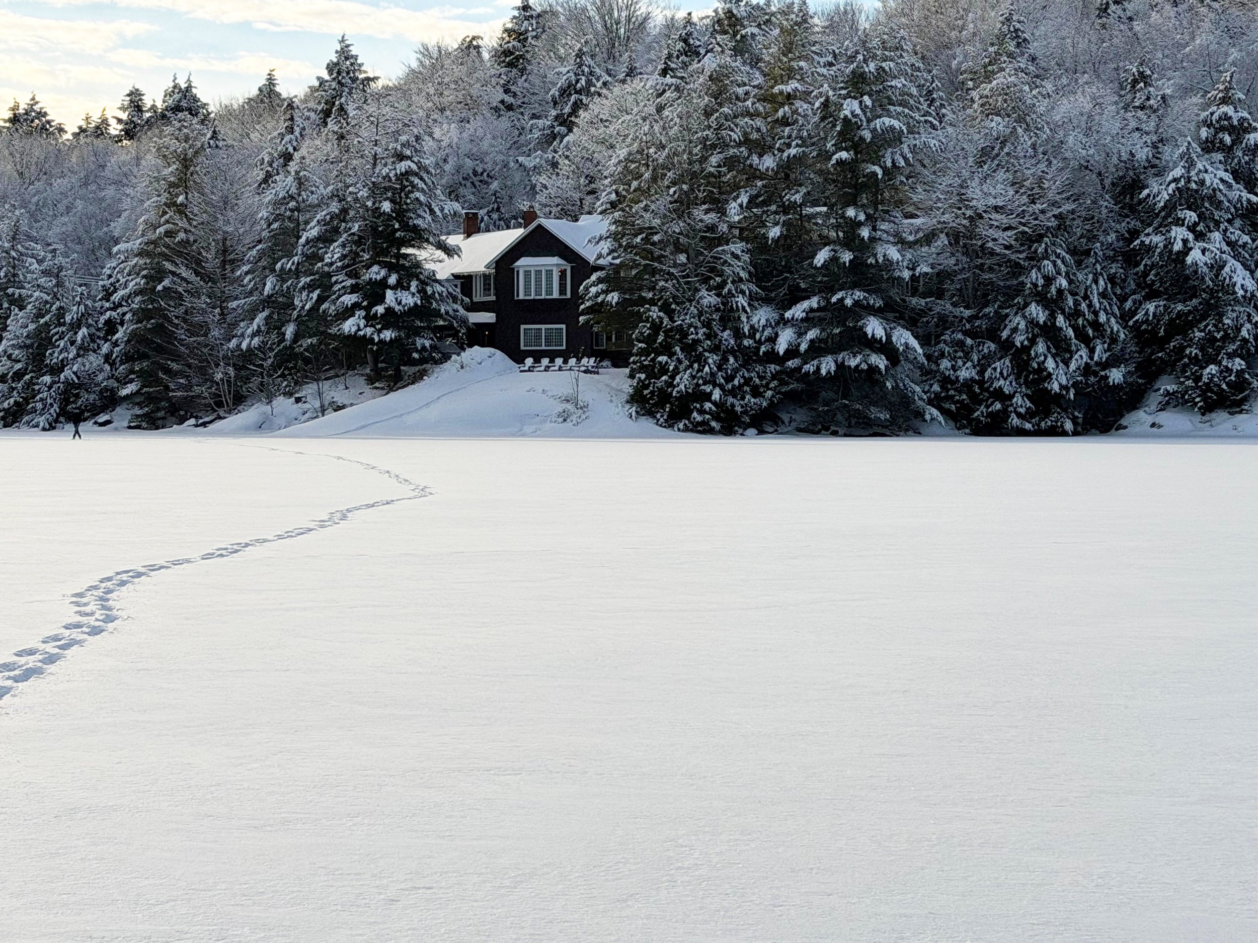 warren point from the lake.jpg
