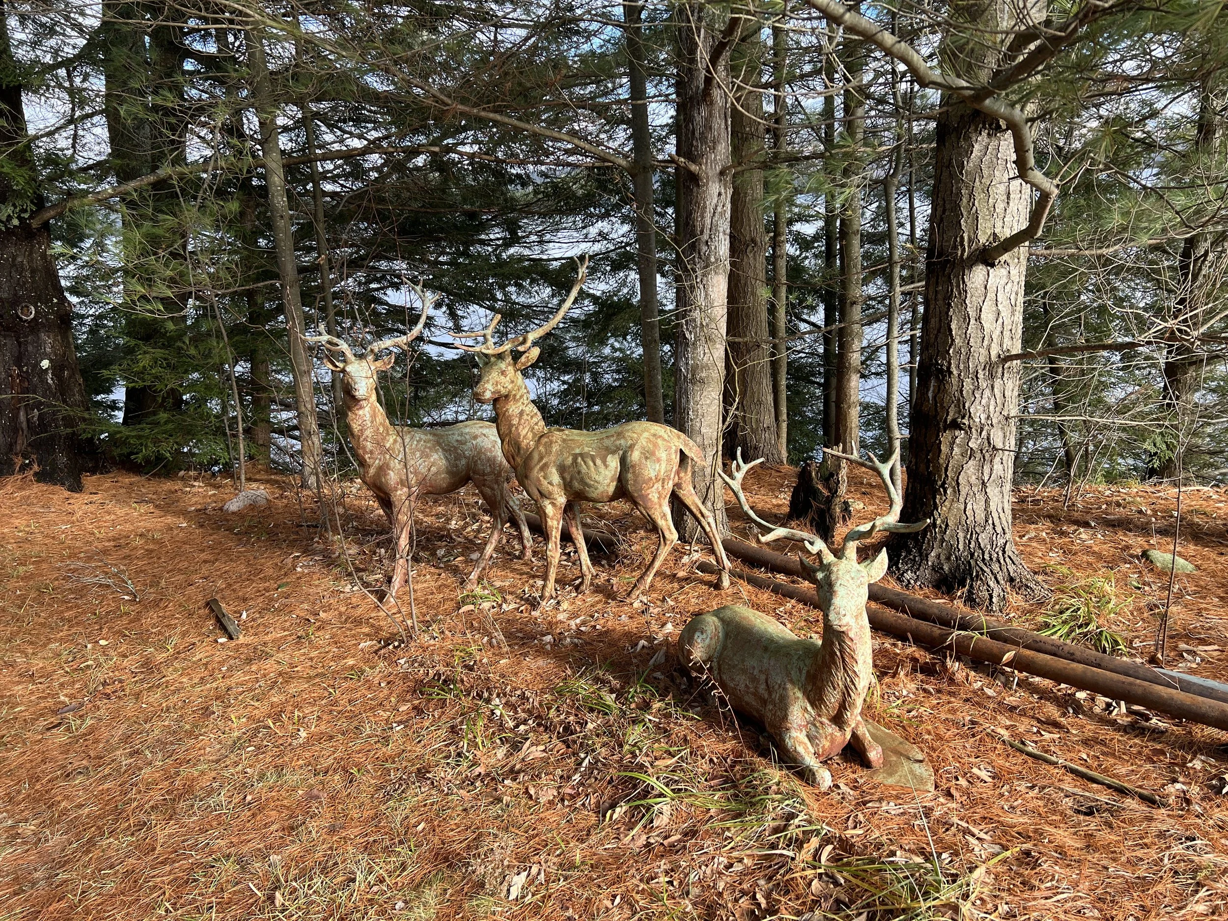 Deer sculptures in the yard