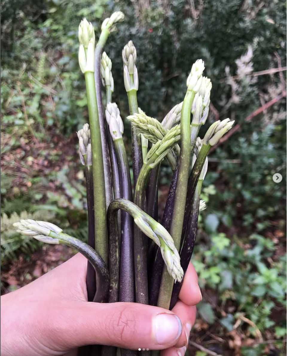 Screenshot 2025-03-02 at 22.35.57.png