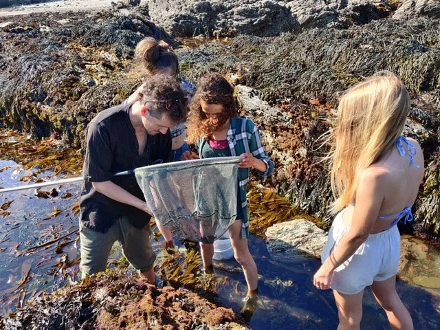 0190b64b-f971-4d55-b59c-92e6d7066863 (1).JPG