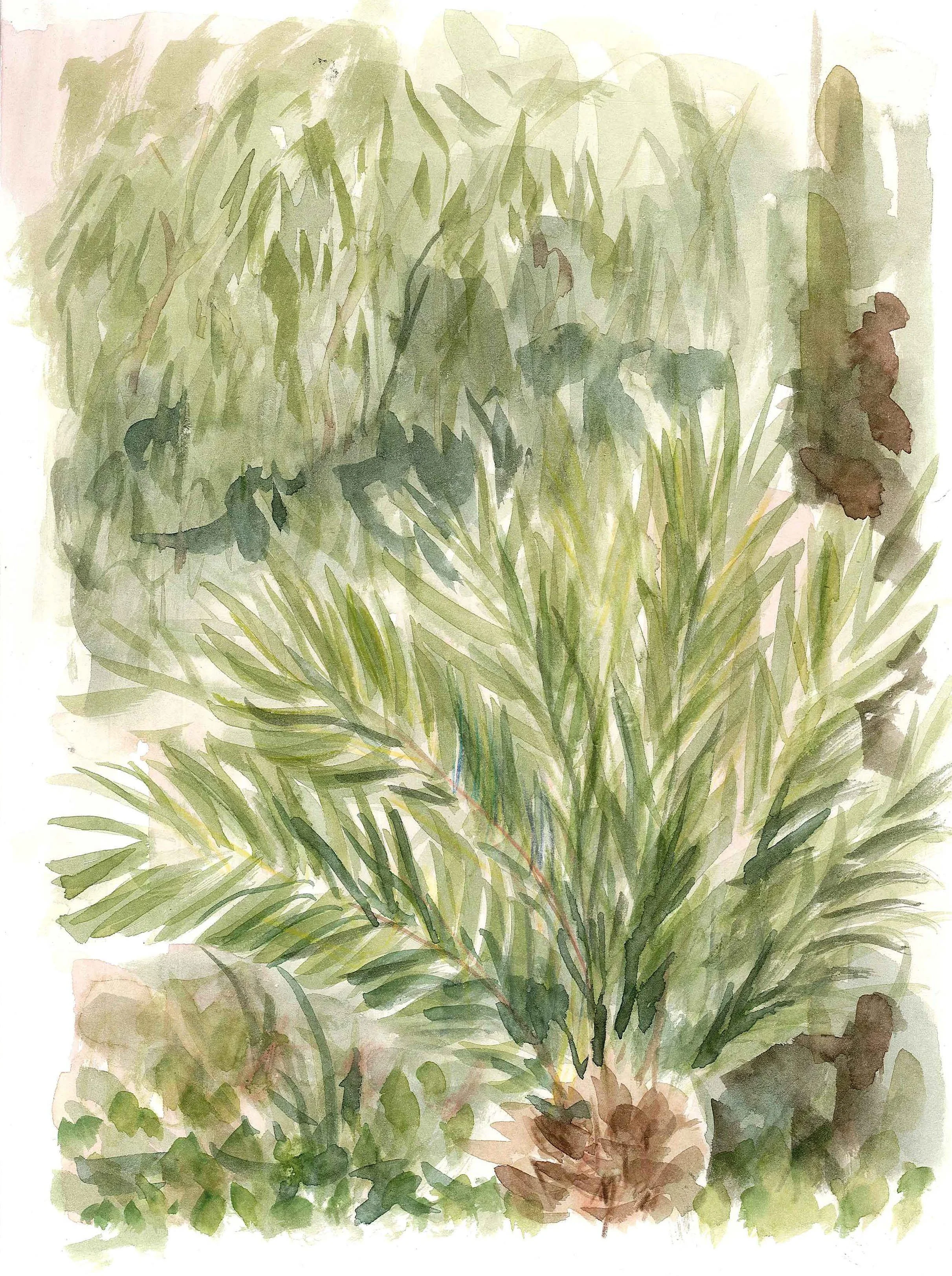 Gardens3.jpg
