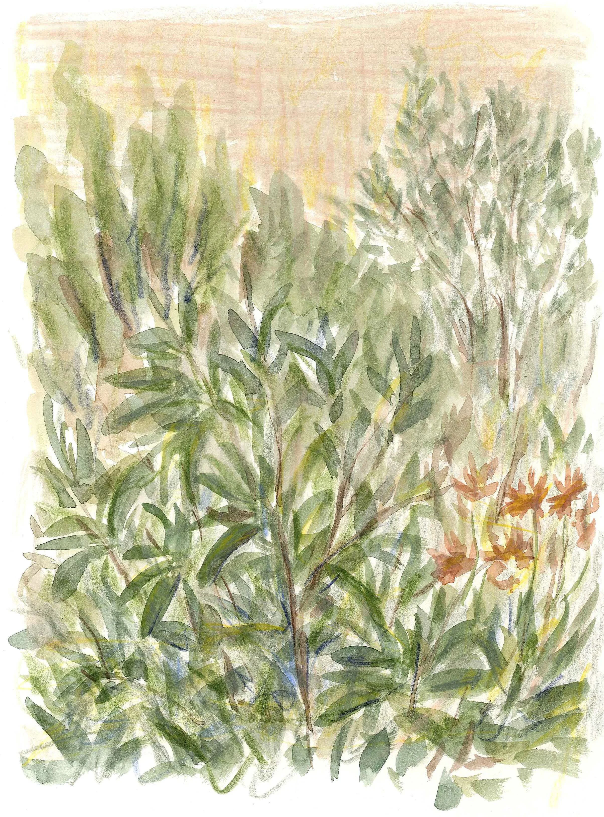 Gardens2.jpg
