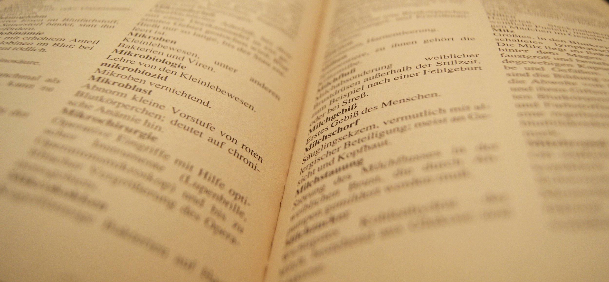 Translation_Alice_Bove_Interpreter_&_Translator