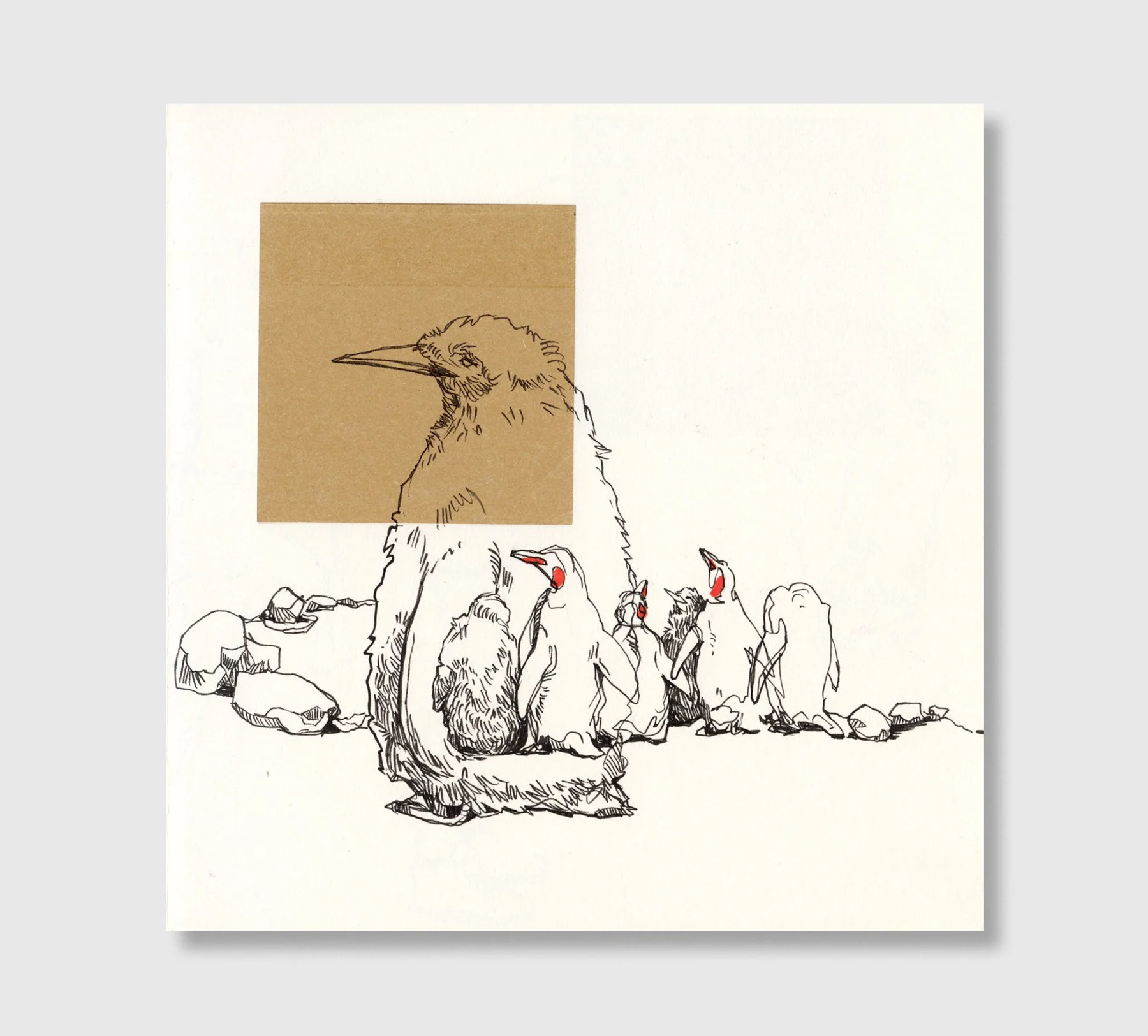 Pinguine im Zoo Zürich