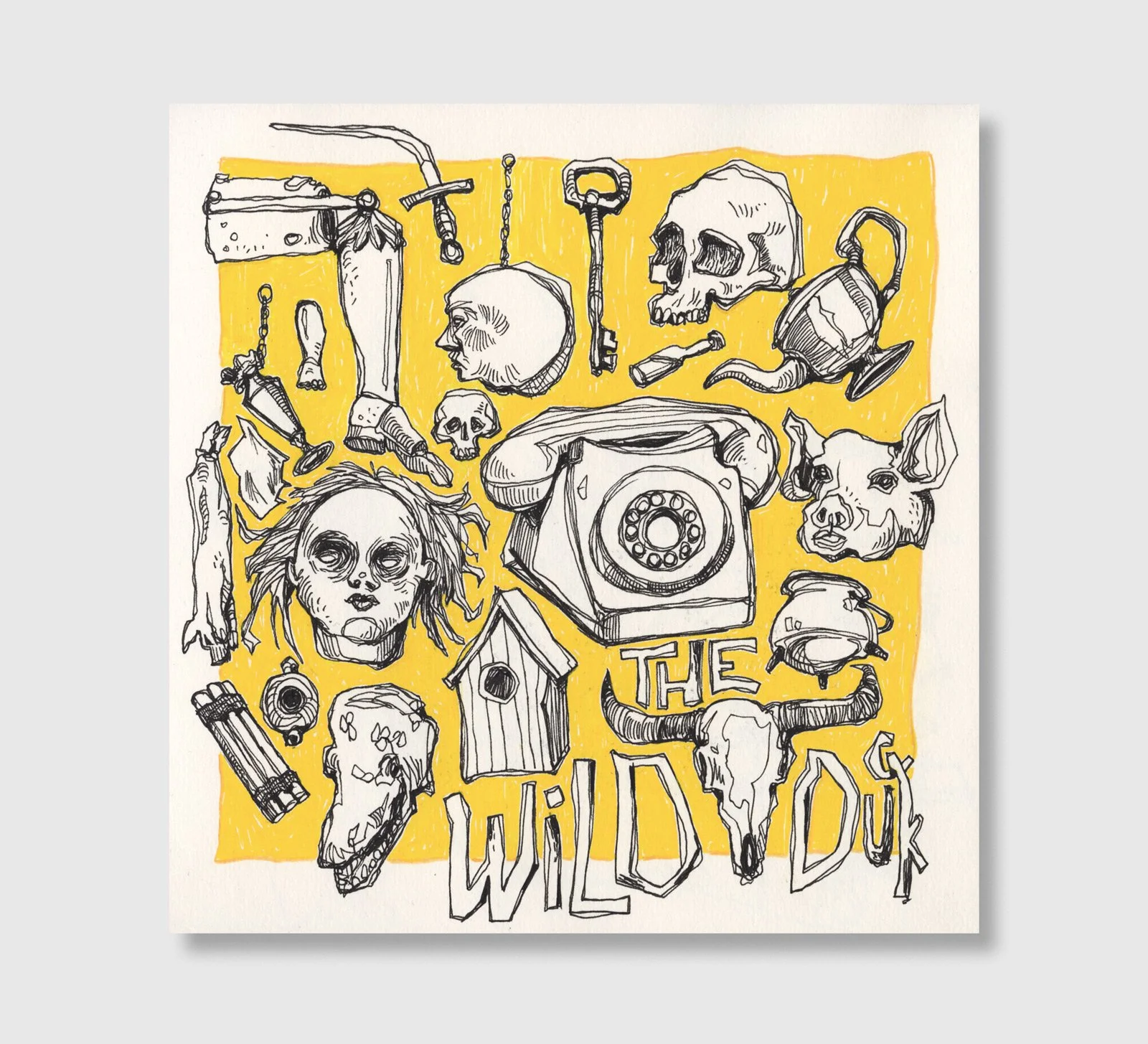 Pub The Wild Duck in Dublin