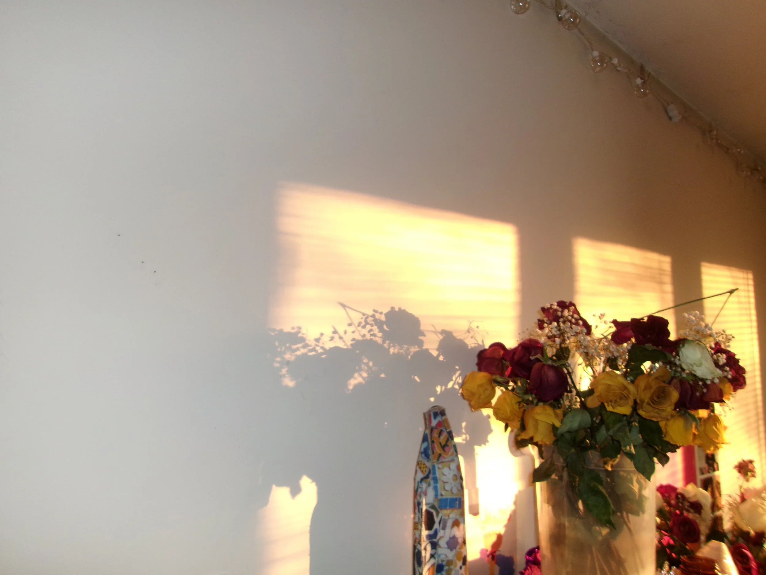 26.XX self portraits