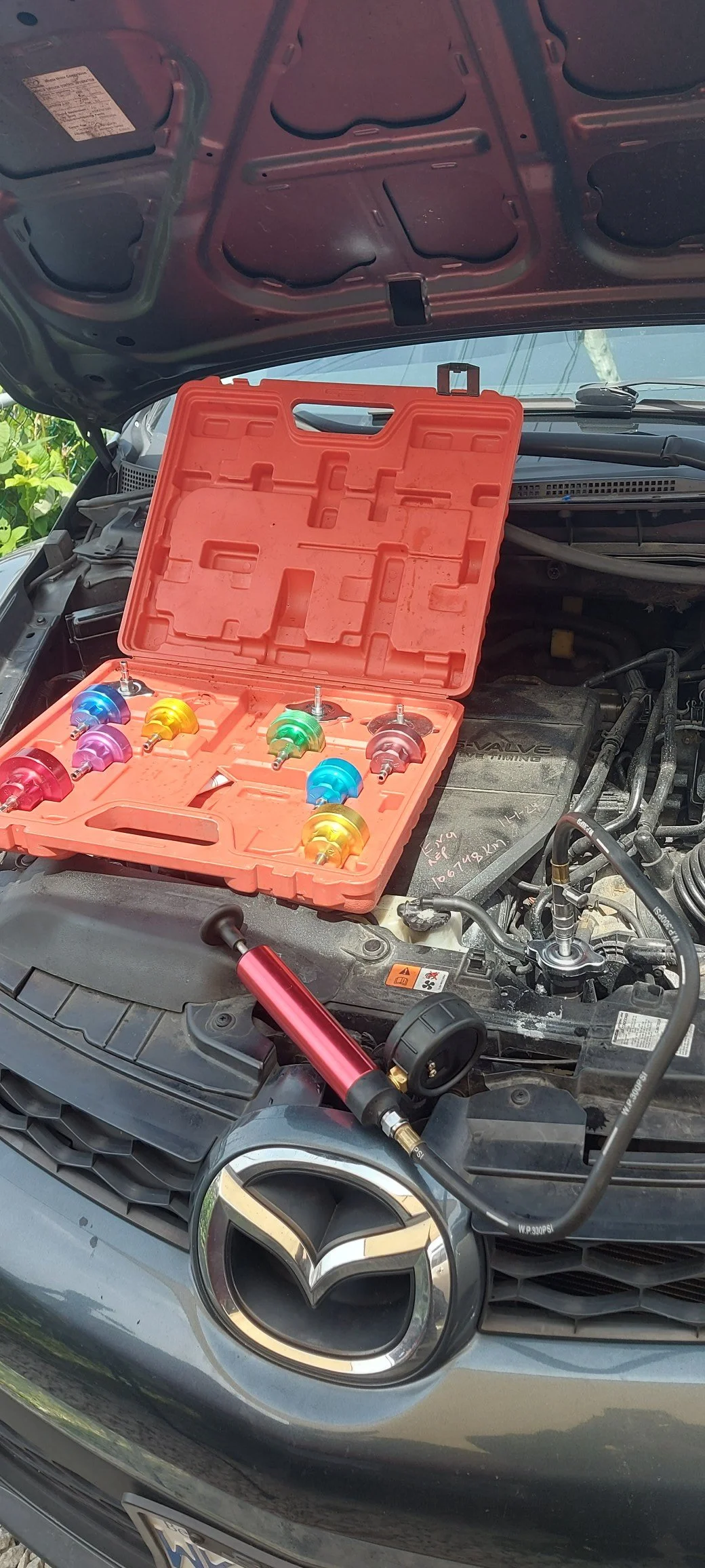 Mazda 1.jpg