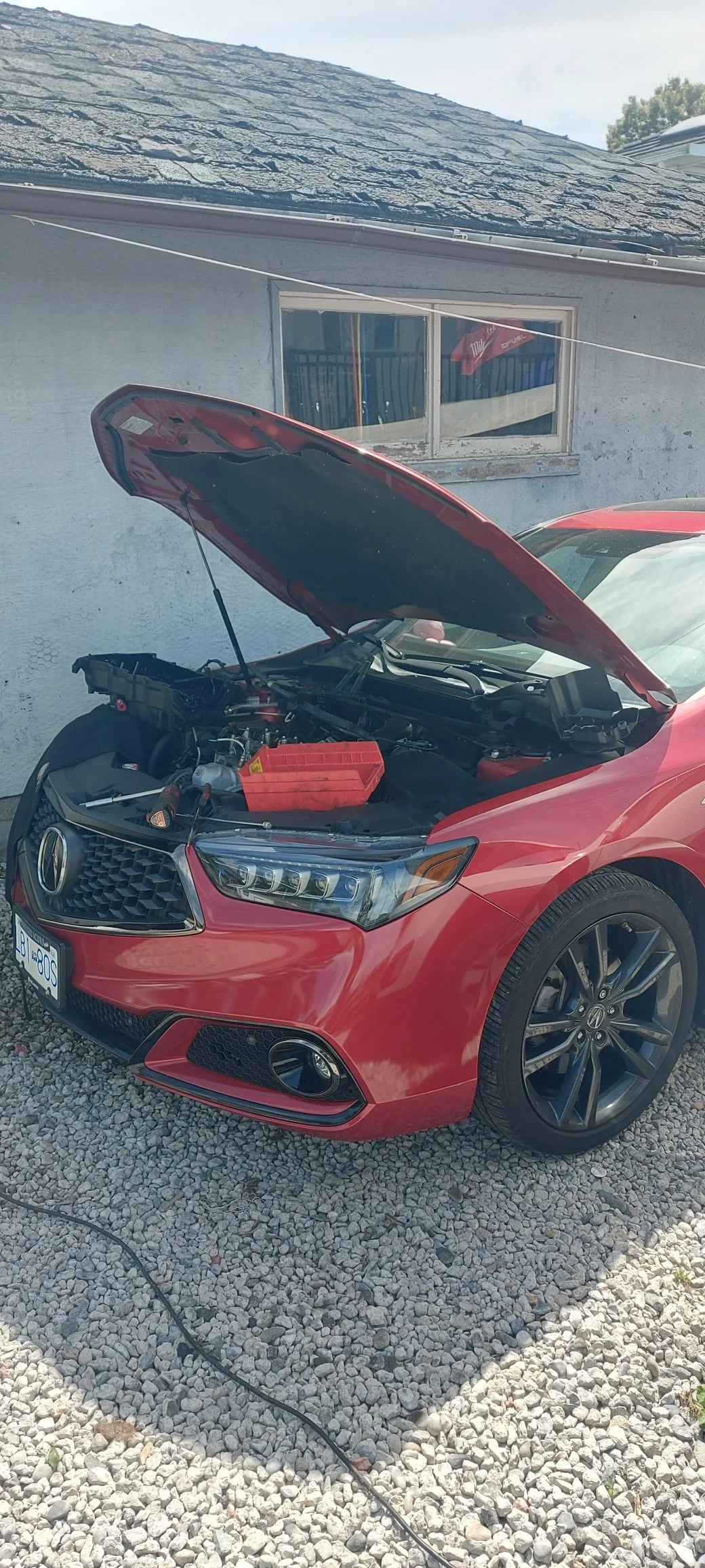 red car.jpg