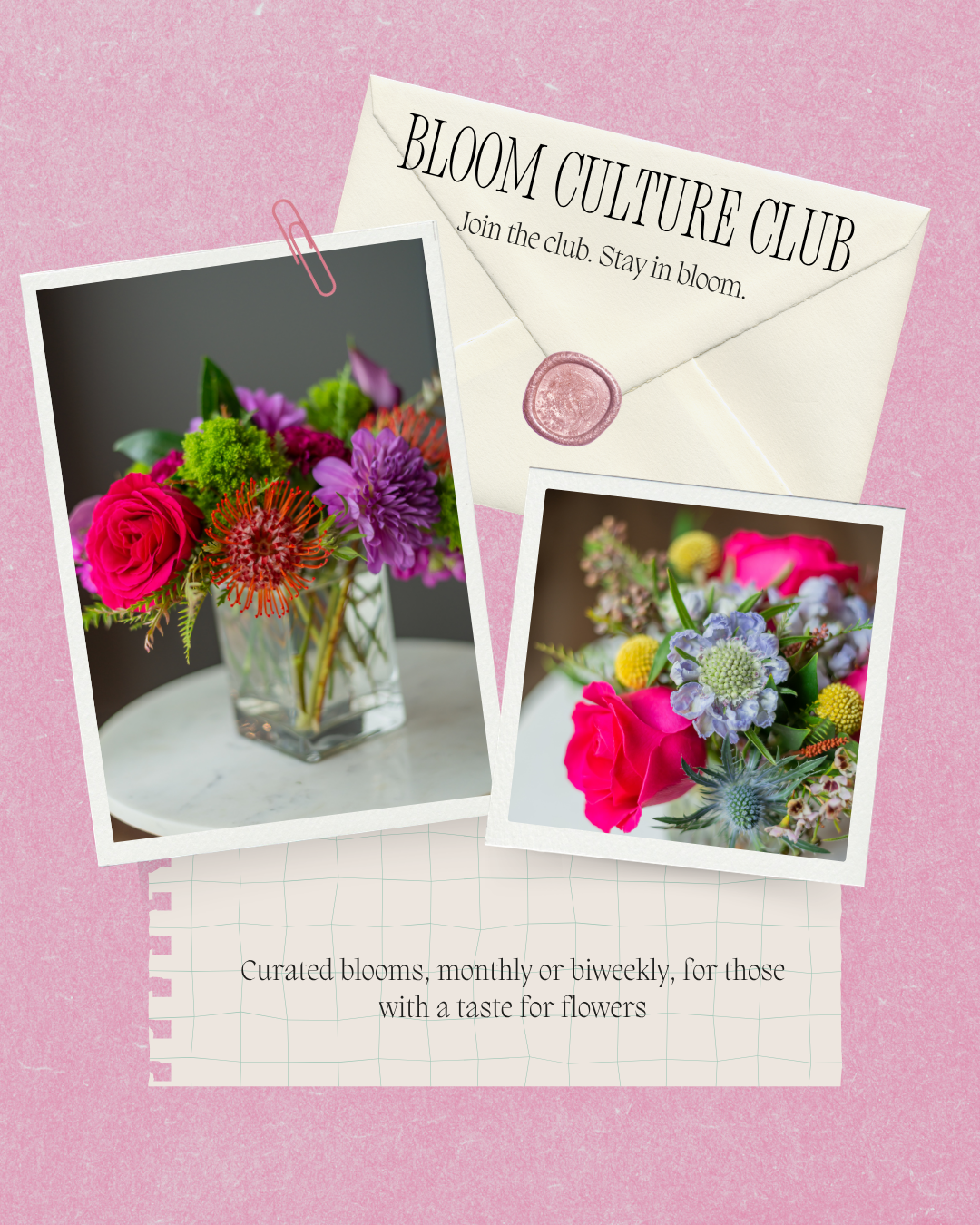 BCF Bloom Club Flyer.png