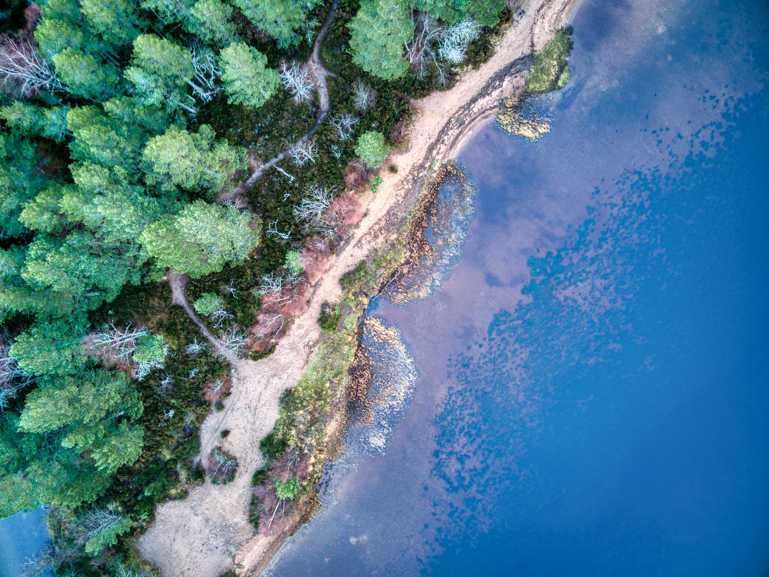 DJI_0821merge.jpeg