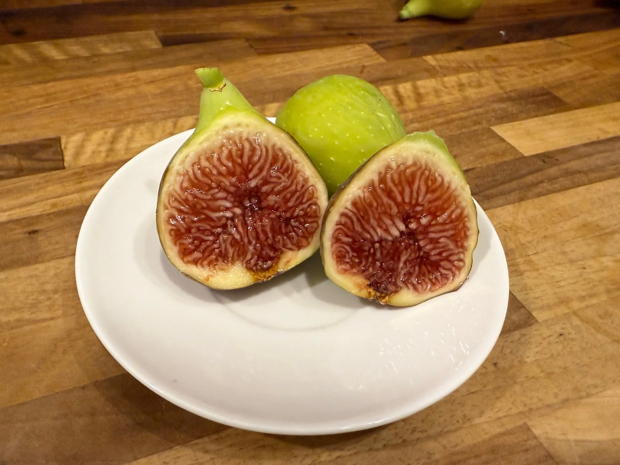 Rubado Plant