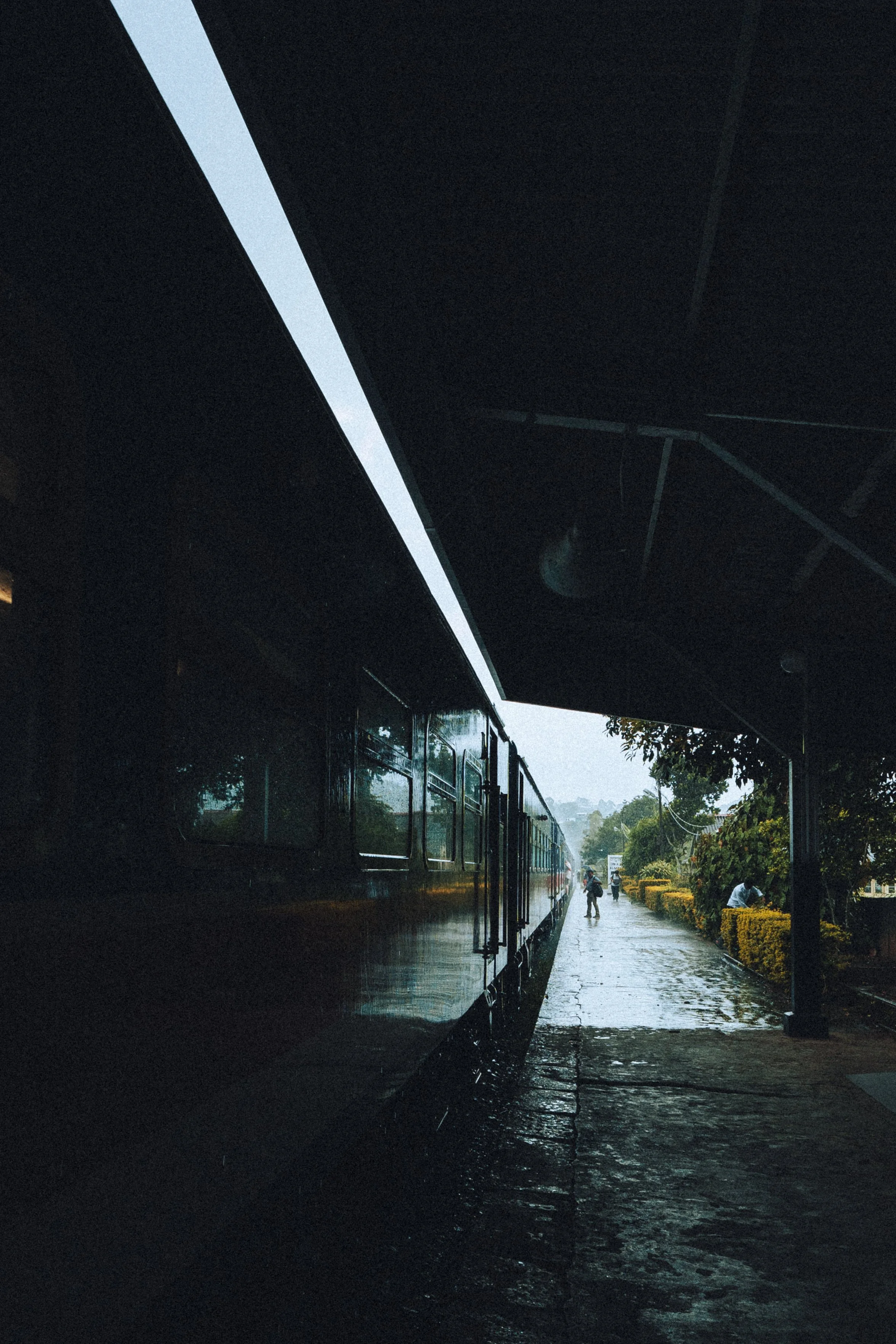 DSC00517.jpeg