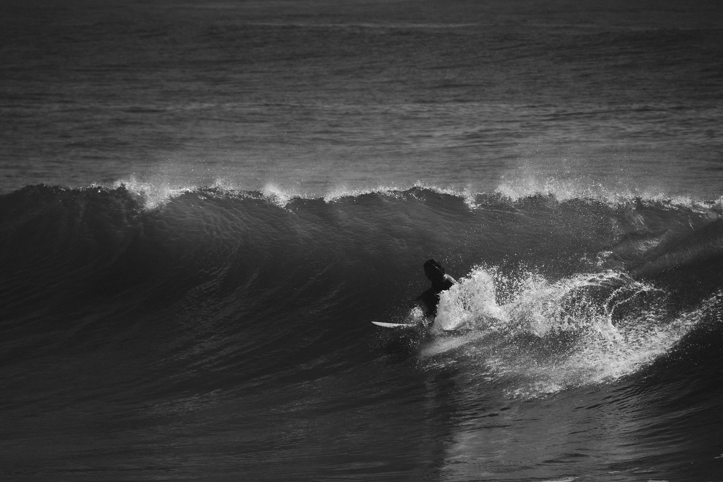 DSC00718.jpeg