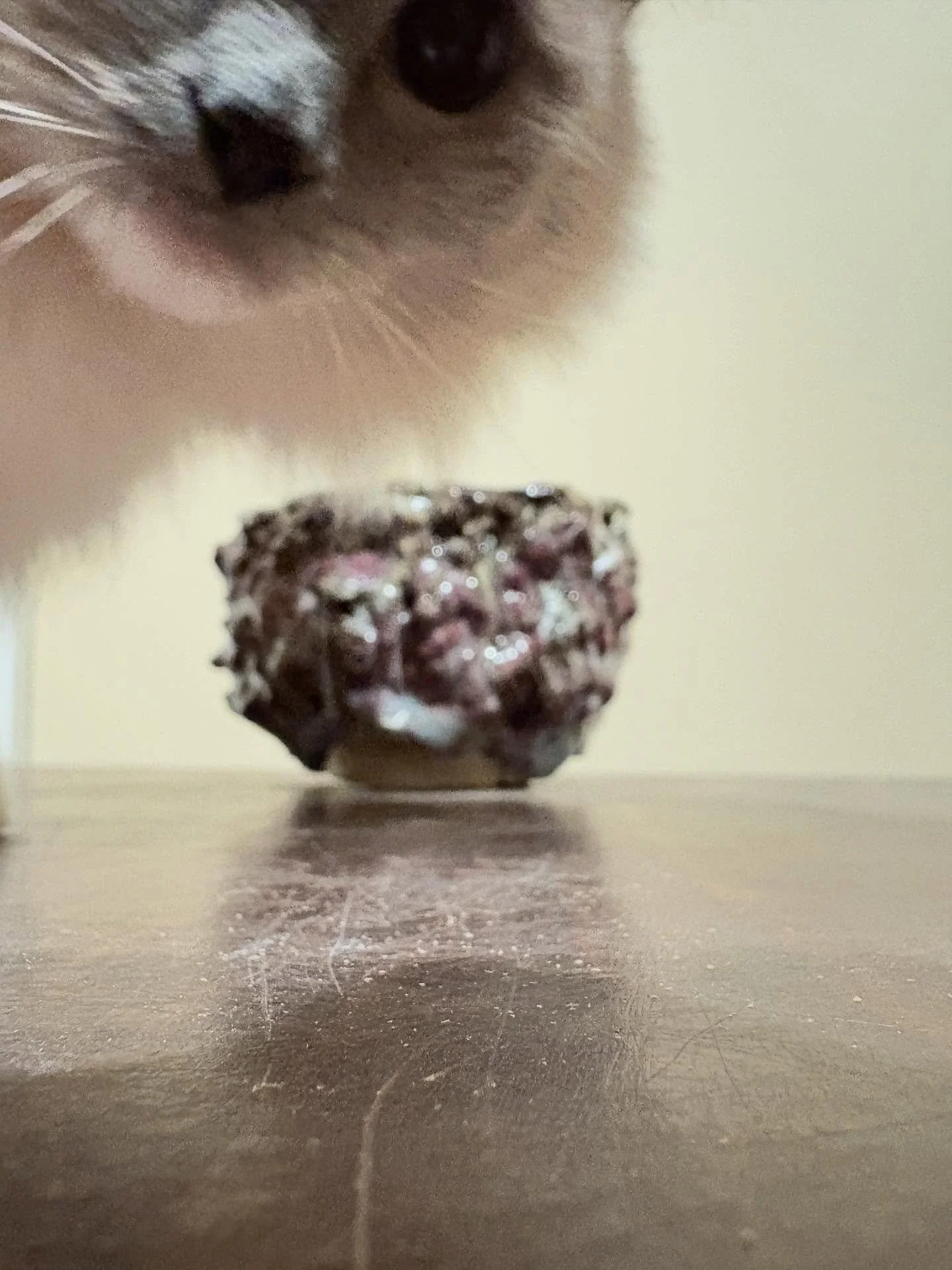 Ever find cat fur in your pottery? Or pottery in your cat fur? 

It was Beau&rsquo;s turn to make an appearance. And to make the chawan levitate.

FYI: This upcoming Friday-Sunday, Nov 7-9, will likely be my last time there in 2025. Pretty much every
