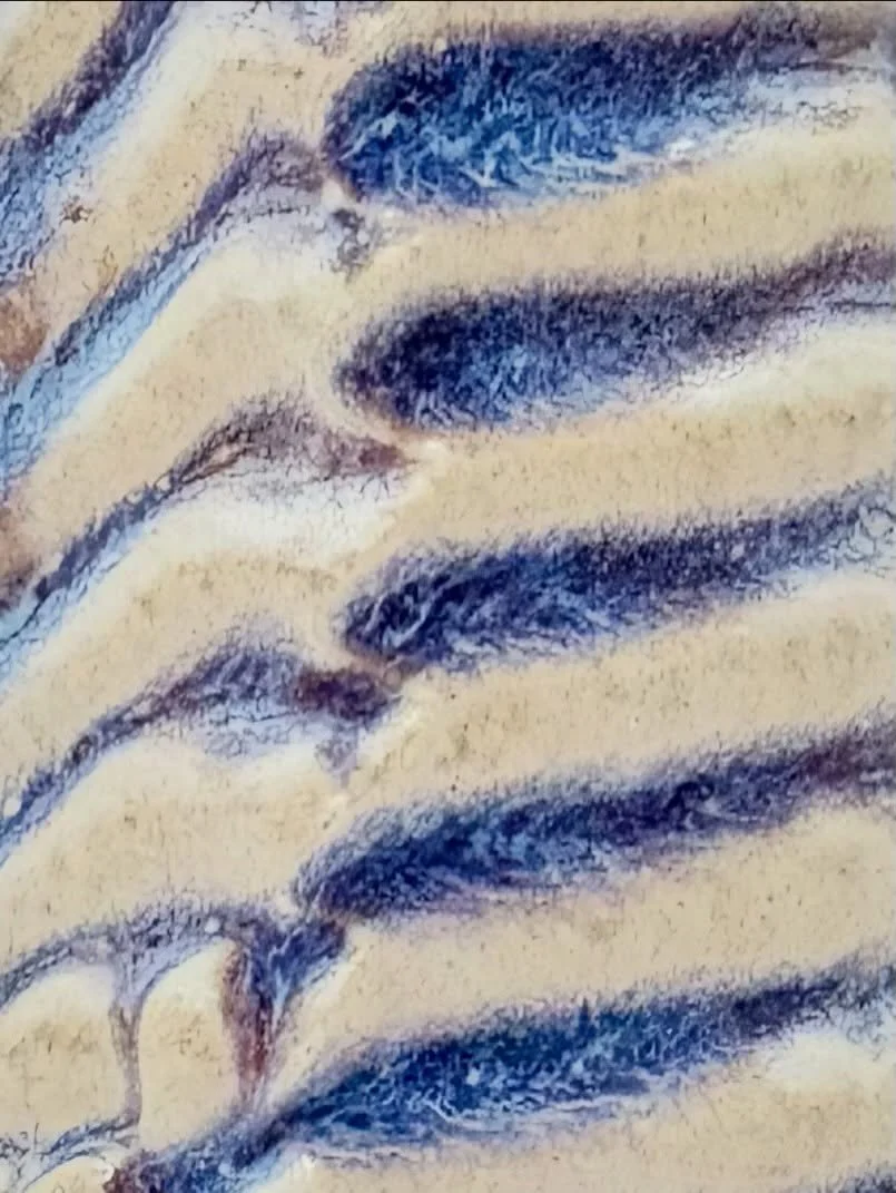 Textures and colors from recent creations. Which is your favorite and why?

I&rsquo;m at the NC State Farmers Market this upcoming weekend, Friday-Sunday, April 17-20, exact spot TBA.

.....
 #pottery  #intuitiveart  #ncpottery  #kurinuki #texturetue