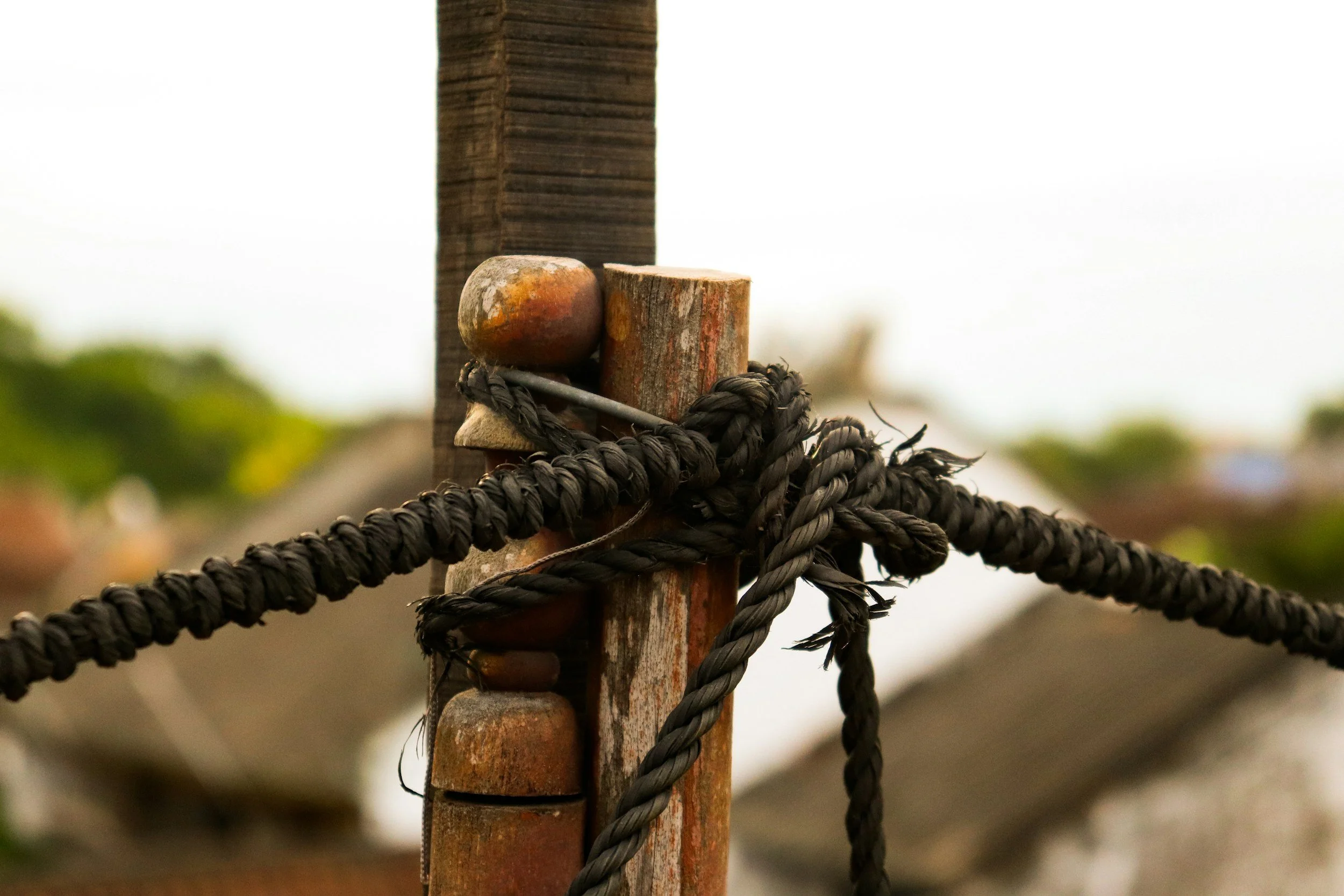 Tied to a Fencepost