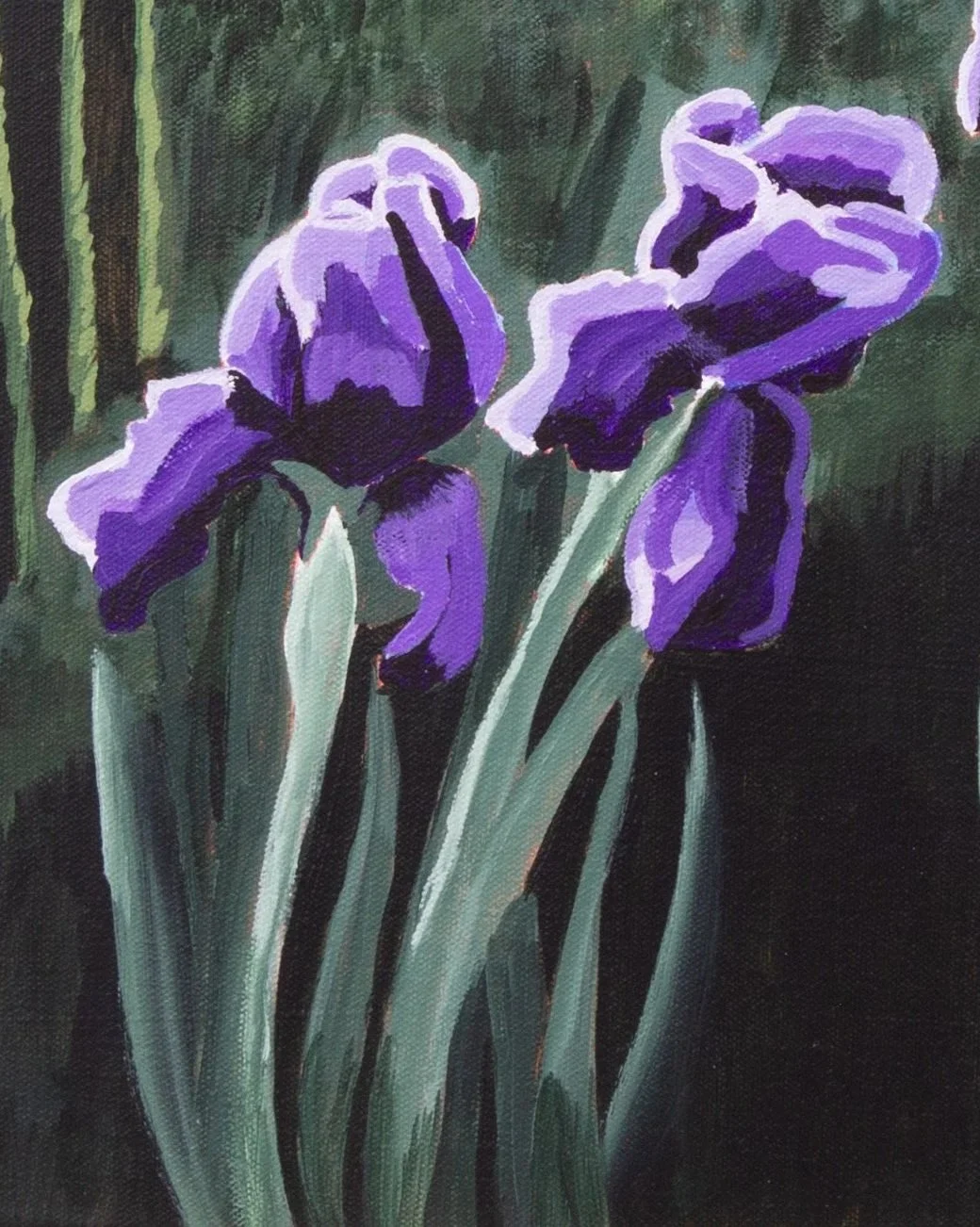 IMG_3344+25-12-15++Irises.jpg