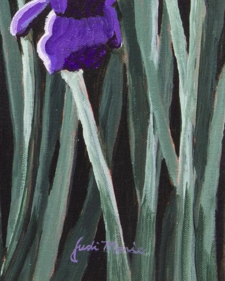 IMG_3344+25-12-15++Irises.jpg