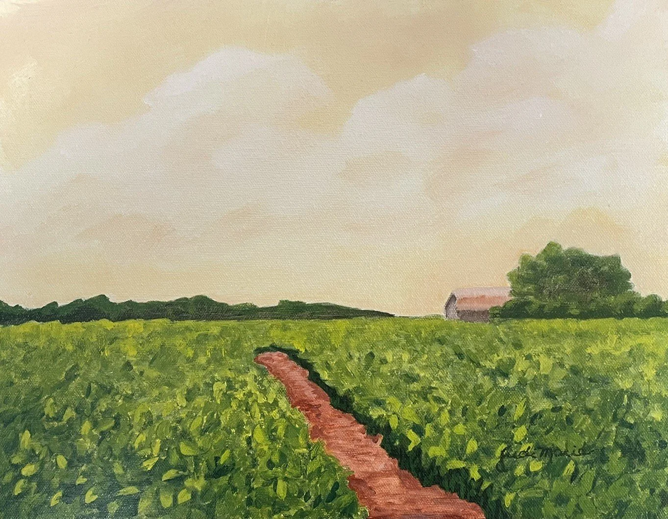 Tobacco Fields and Barn on Massey Deal Road.jpg