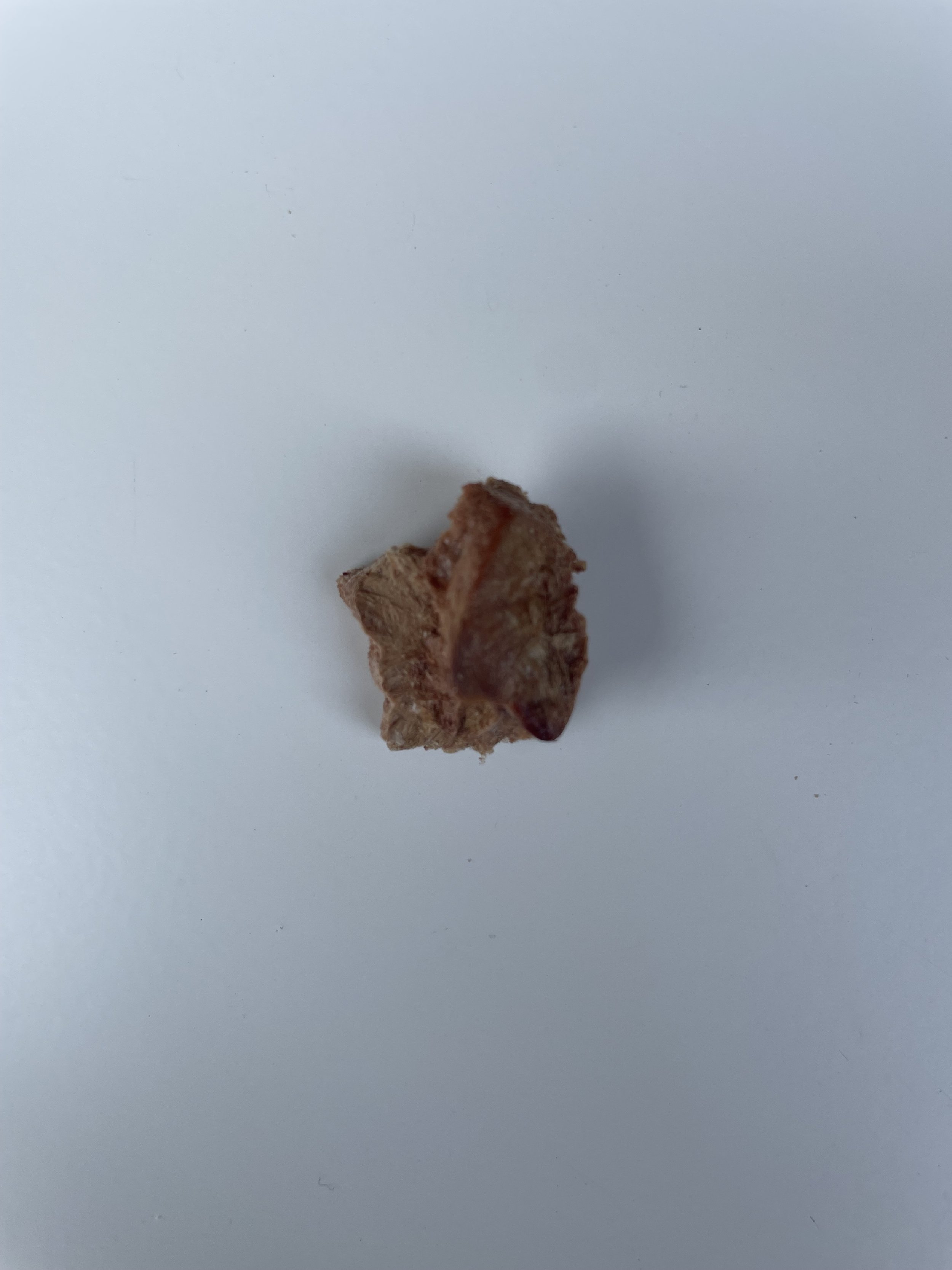 IMG_5802.jpeg