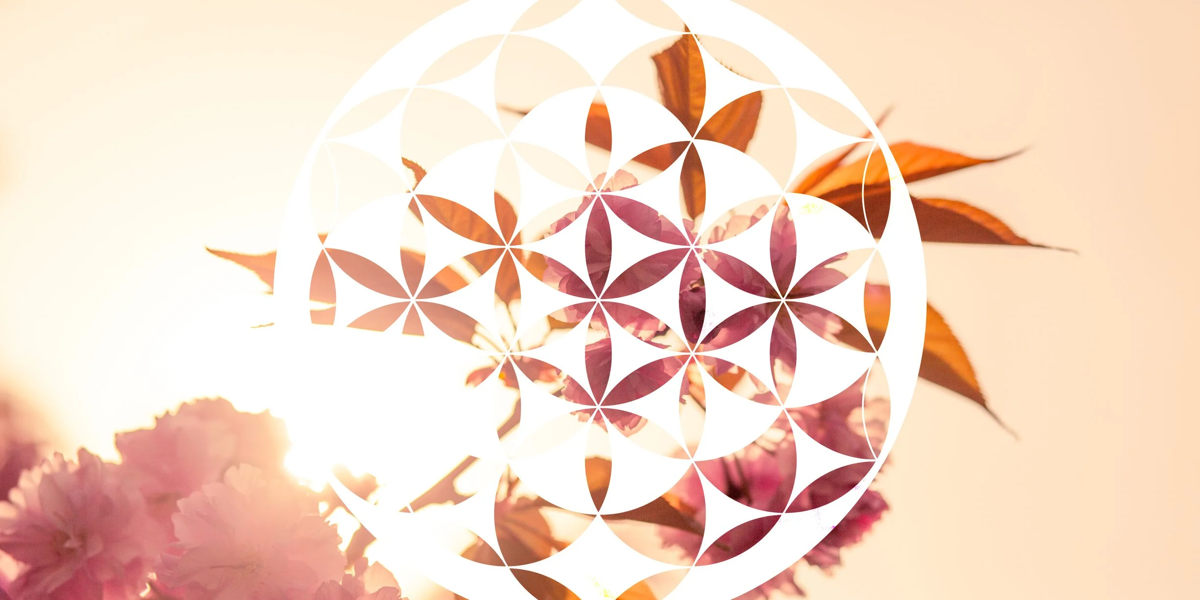 Symbol.jpg