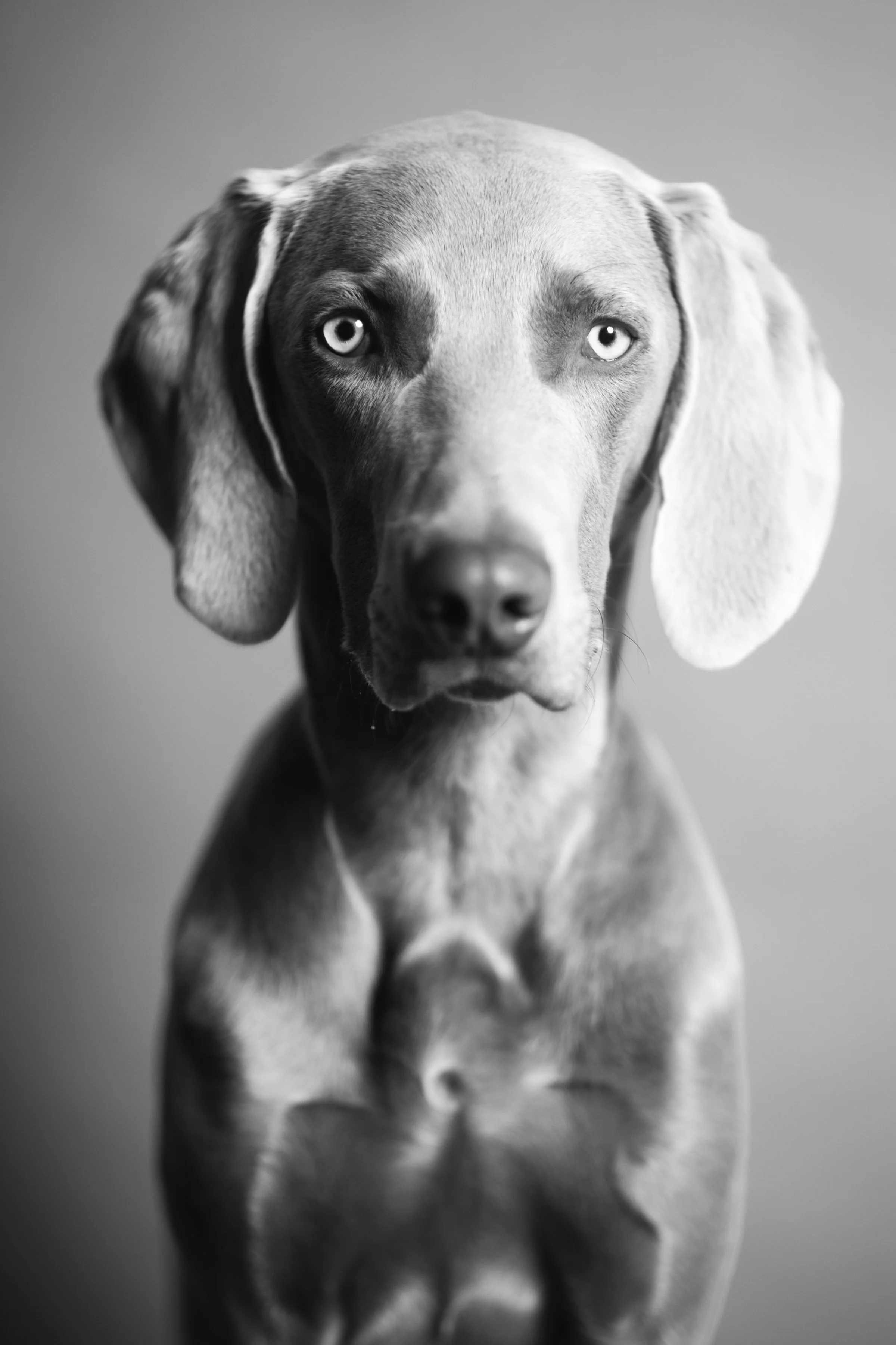 20150523-DSC01056.jpg
