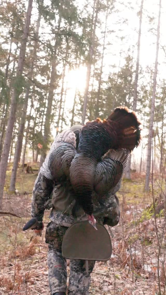 Walking out a few pounds heavier
#turkeyhunting #wisconsin #clip #hunting #filming #filmmaking #videography #shotoncanon