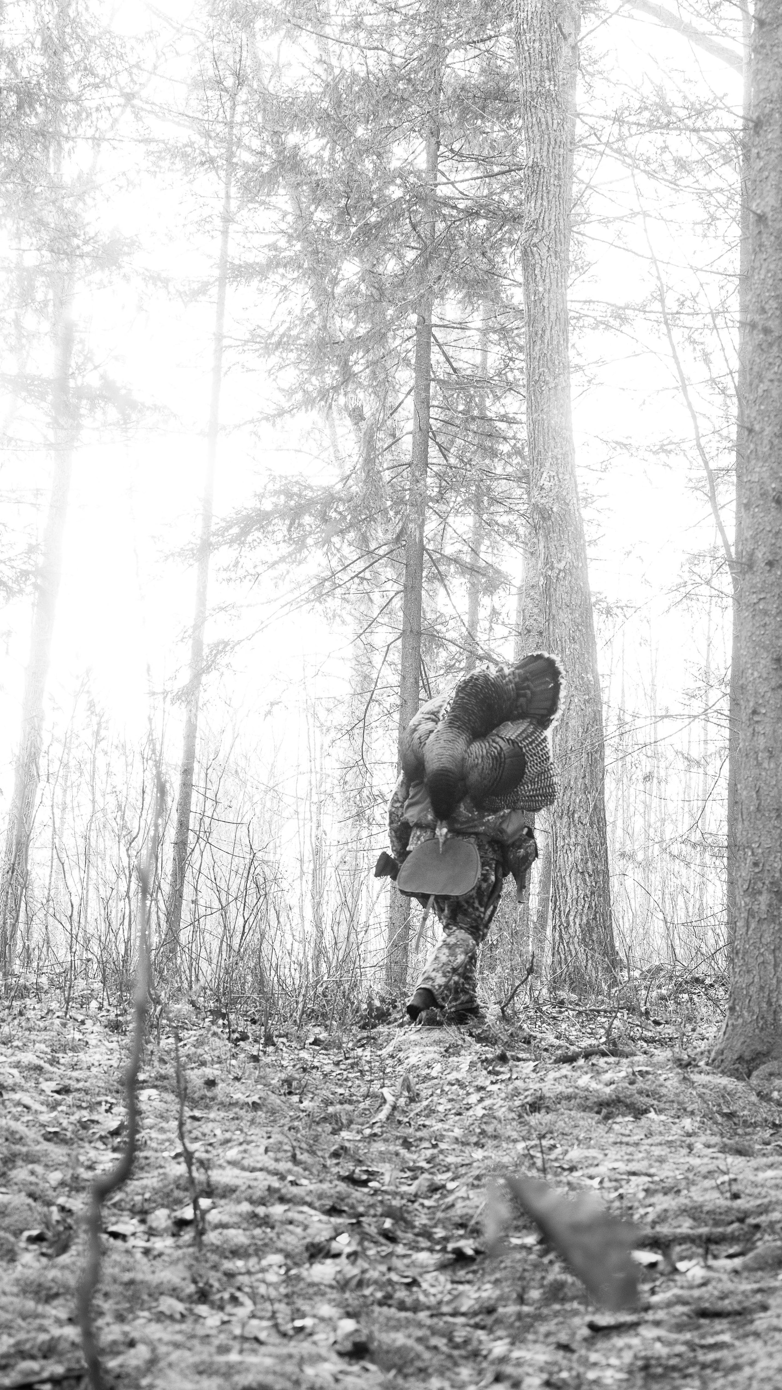 I just like to film…in the turkey woods
Hunting film loading ⏳🎬
@hookedandtagged @trophymediaco_
#turkeyhunting #filming #film #cinematography #creative #hunting #wisconsin