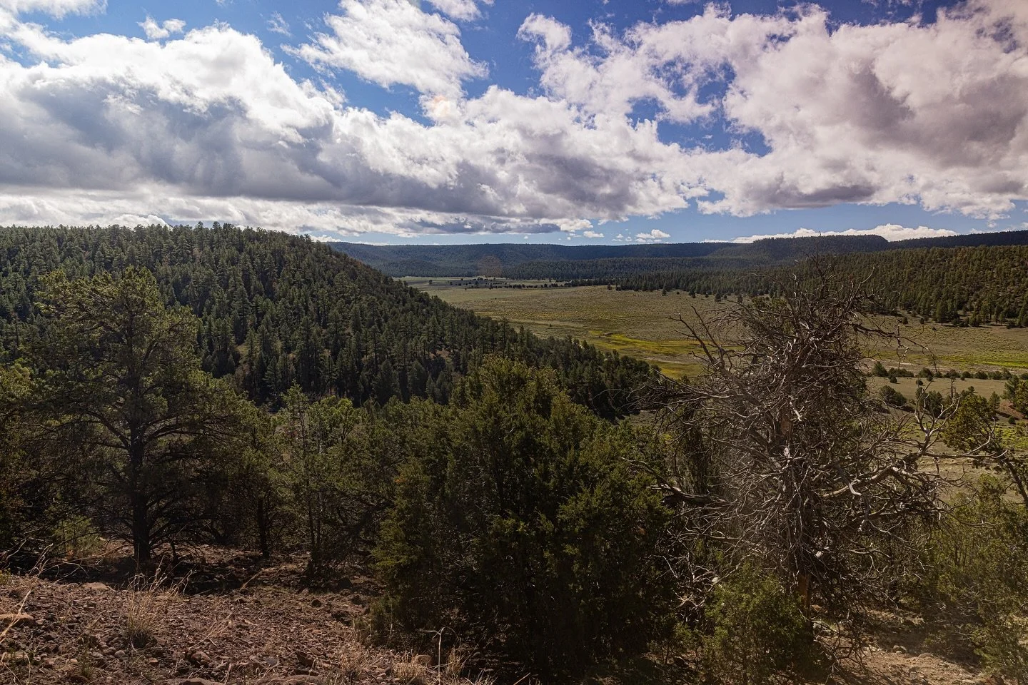 From mountains to marsh, we&rsquo;ve been on the move. September was one for the books from chasing New Mexico&rsquo;s wildest, then racing home with just enough time for a few hours of shut eye before watching the sun rise over one of my favorite pl