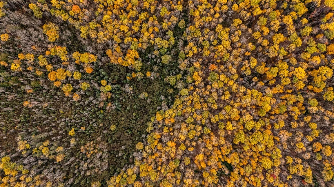 The Northwoods putting on a show π
Every ridge and treeline feels like it’s glowing right now.
#Northwoods #FallColors #AutumnVibes #DronePhotography #AerialView #FromAbove #CinematicNature #WisconsinOutdoors #ExploreWisconsin #NatureFromAbo
