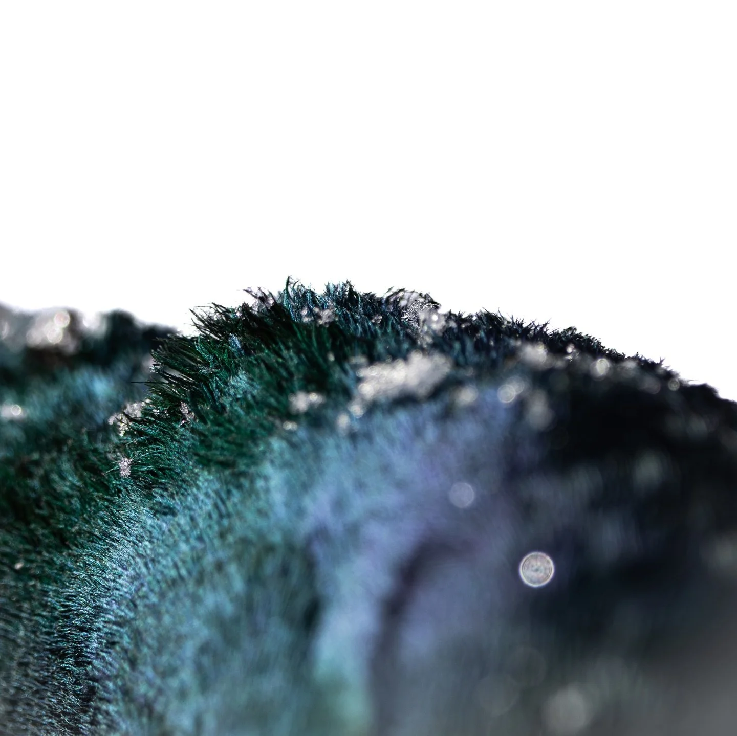 Frozen details 🤌🏻

I&rsquo;ll tell ya, those cold front/snow storm mallards are hard to beat! 

#photography #wildlife #waterfowl #mallard #duckhunting #finedetails