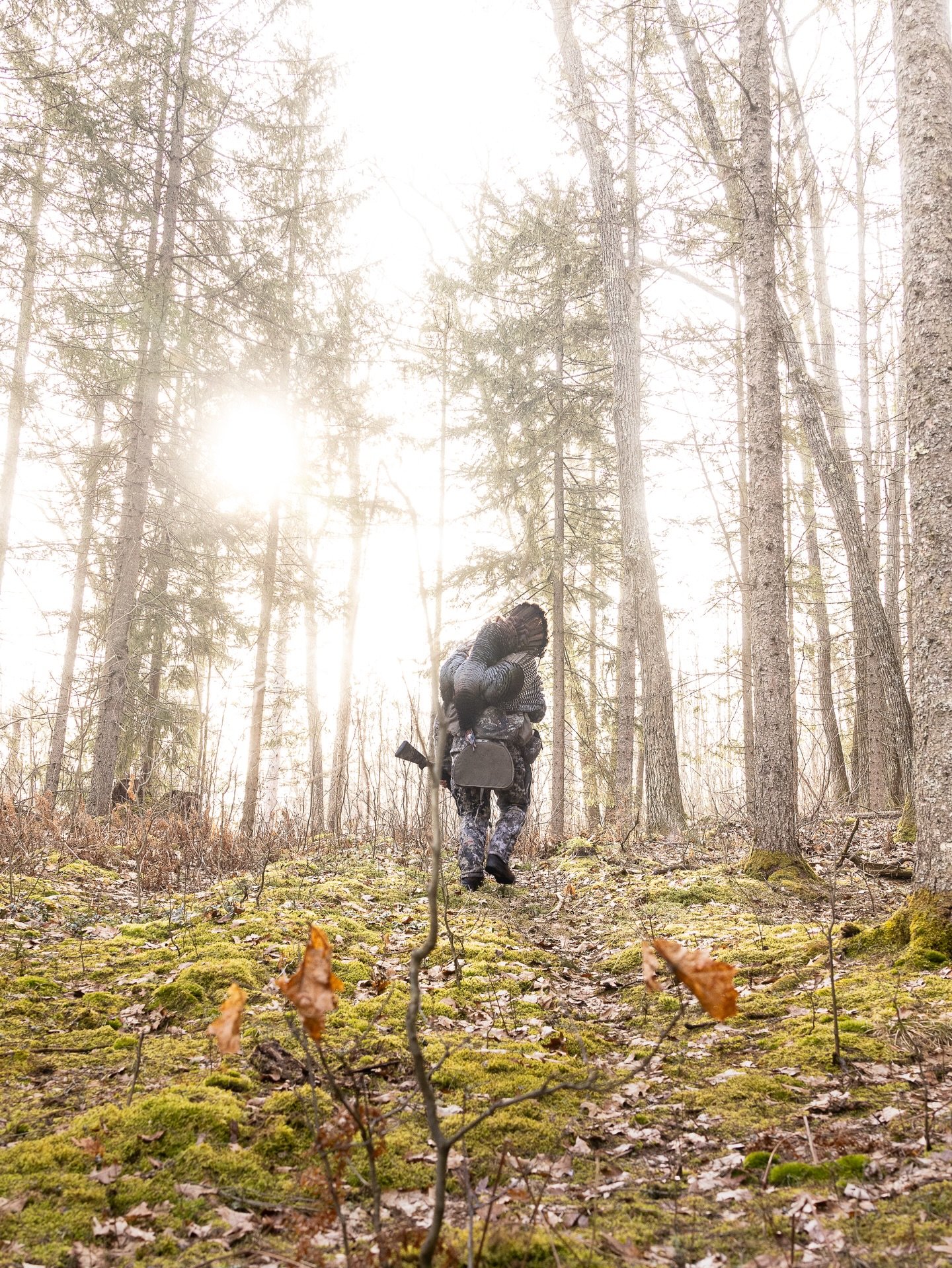 Next up&hellip;

#turkeyhunter #northwoods #wisconsin #spring #photographer