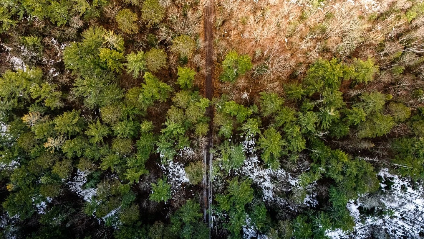 Thinking spring, with only one thing on the mind 🦃

#dronephotography #spring #turkeyhunter #photographer #filmmaking