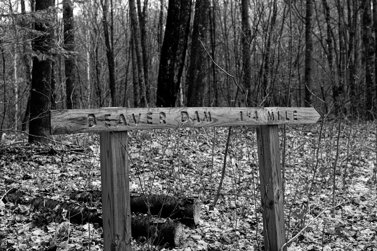 Fresh air&rsquo;s good for the soul 

#hike #photography #spring #outdoors #wildlife