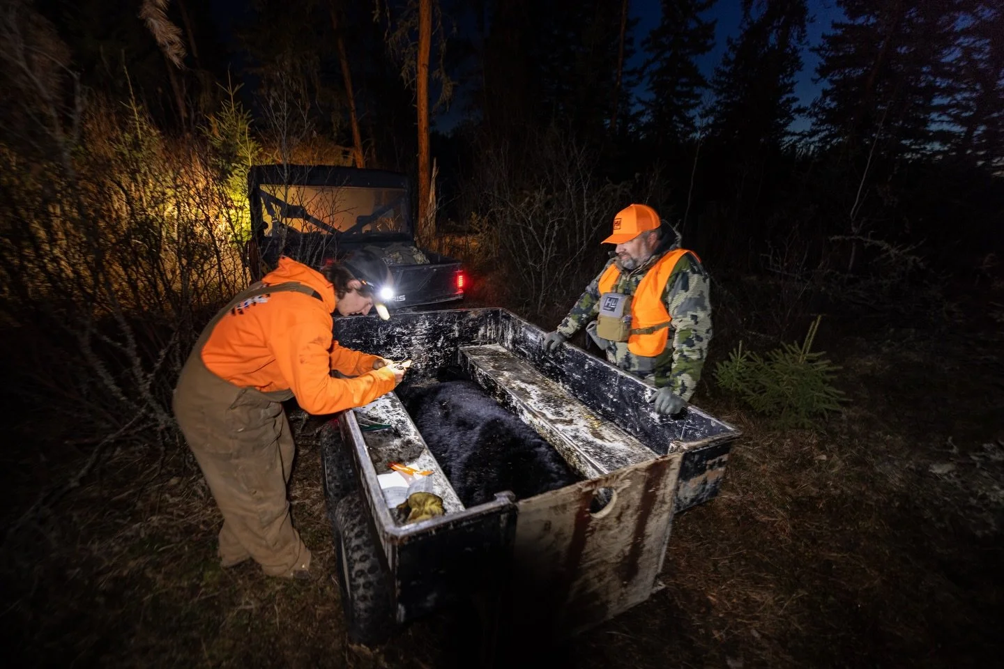 A few clicks from last year, in honor of bear camp this week and one of my favorite trips of the year. 

Headed back north of the boarder this week with @officialhunterbrand and @buck_country_canada. Let&rsquo;s put a few slammers on the ground. 👊🏻