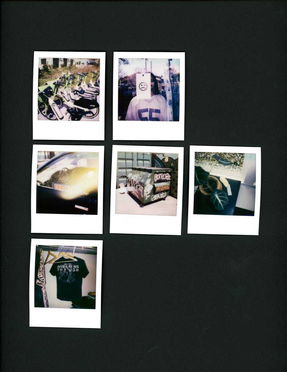 Polaroid Go #5