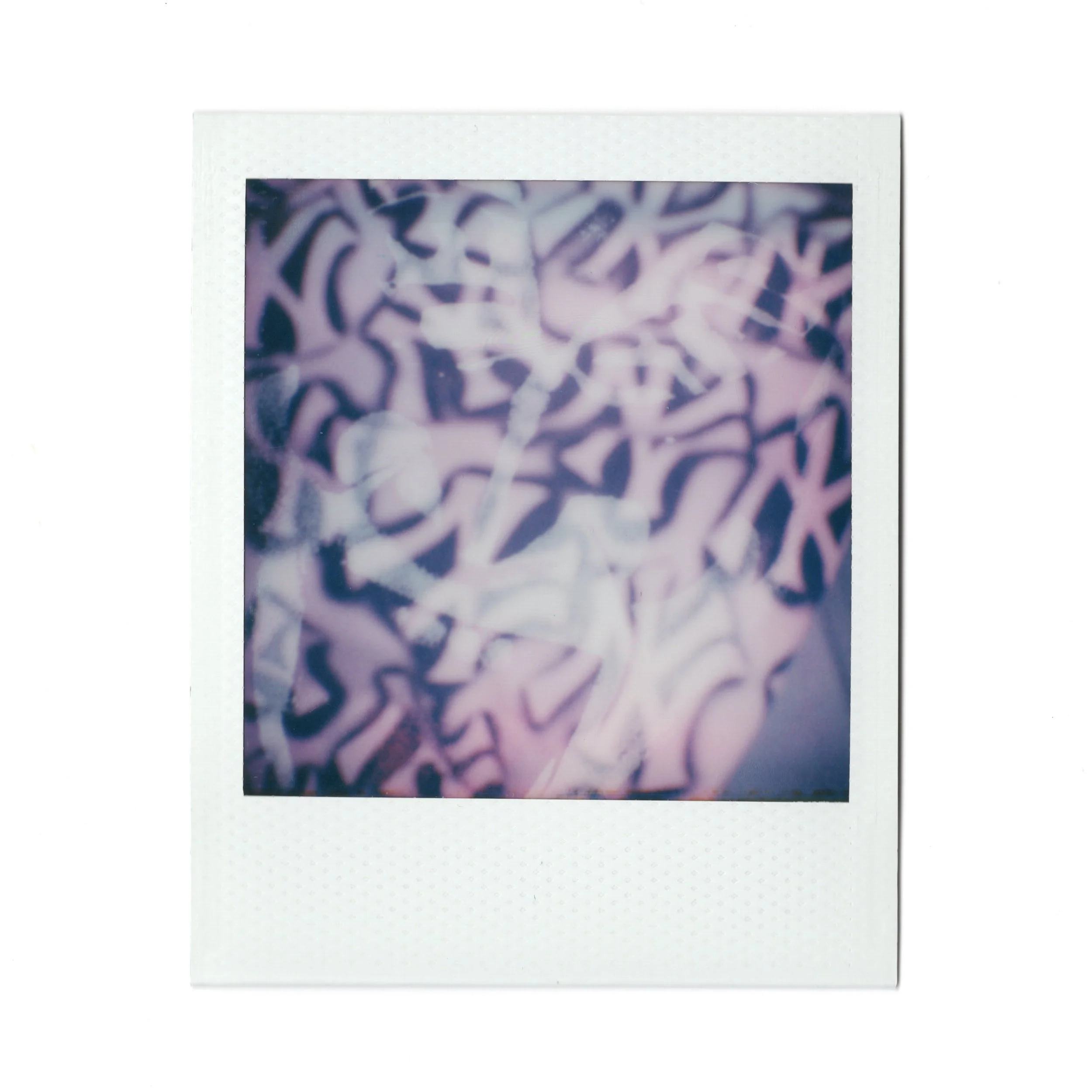 img20250926_11355368 2.JPG