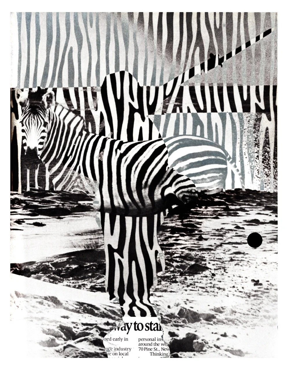 camoflauge Large.jpeg