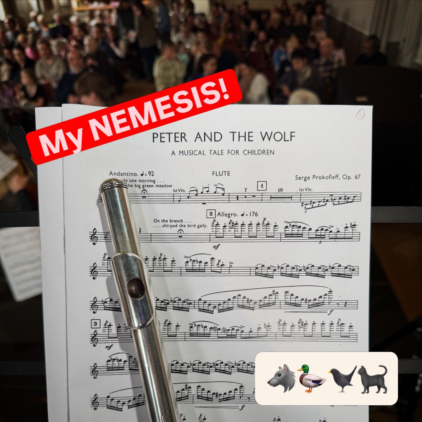 Delighted to survive Peter and the Wolf today, my NEMESIS! The excerpt/piece I&rsquo;ve always dreaded and could never play. The more I worked on it, the worse it got (and the more anxious/tense I became!). It was just impossible for me, I&rsquo;m no
