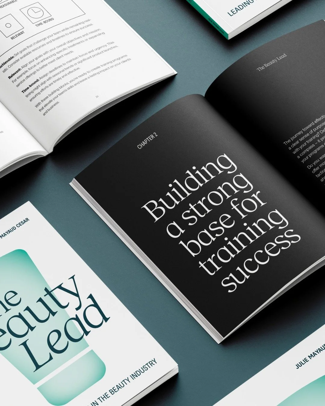 Building a strong base for training success isn&rsquo;t optional.

It&rsquo;s the foundation of everything.
This book is for:
&bull; Beauty trainers who want to elevate their delivery
&bull; Facialists and brand representatives ready to step into lea