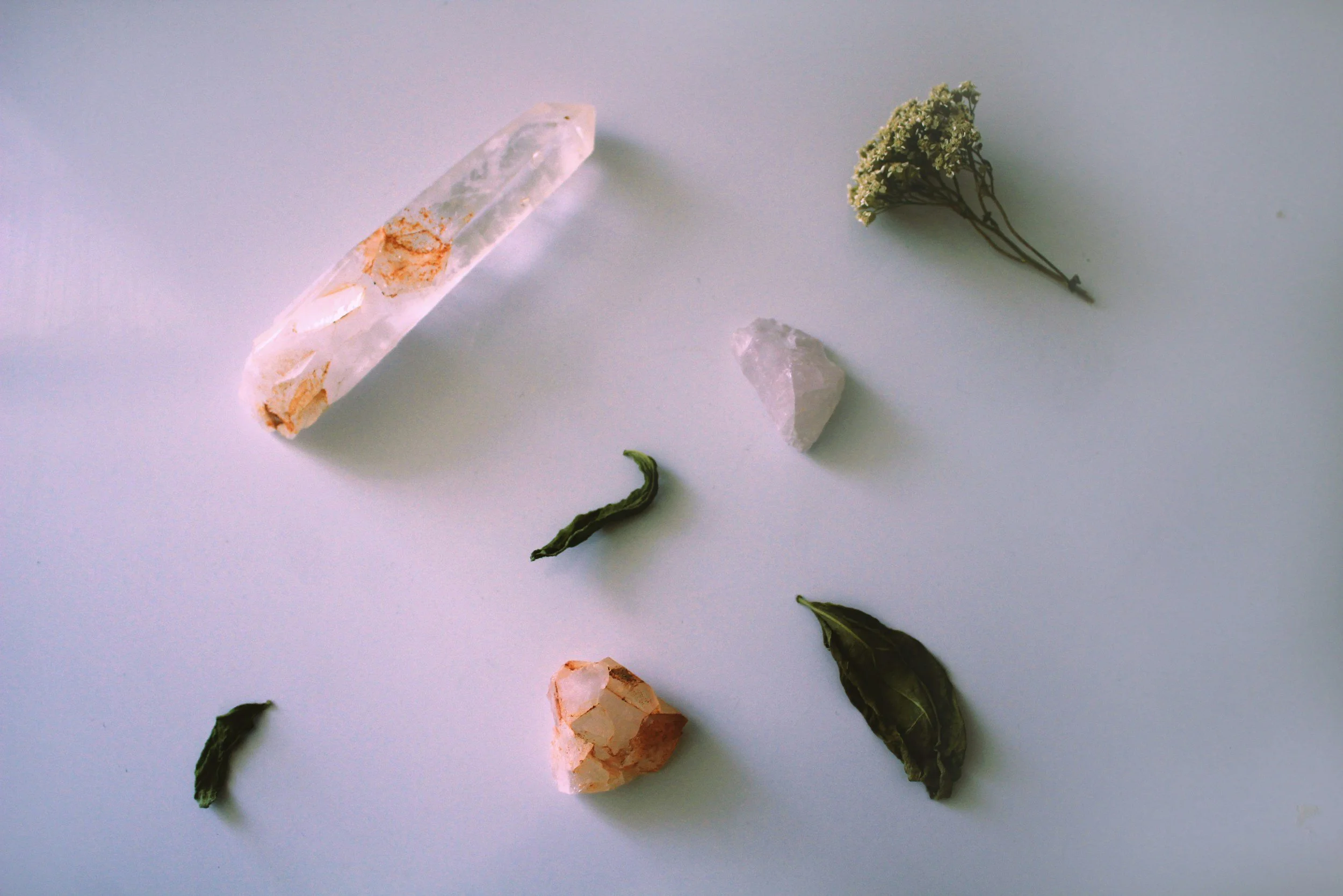 Various crystals and dried herbs on a white surface.