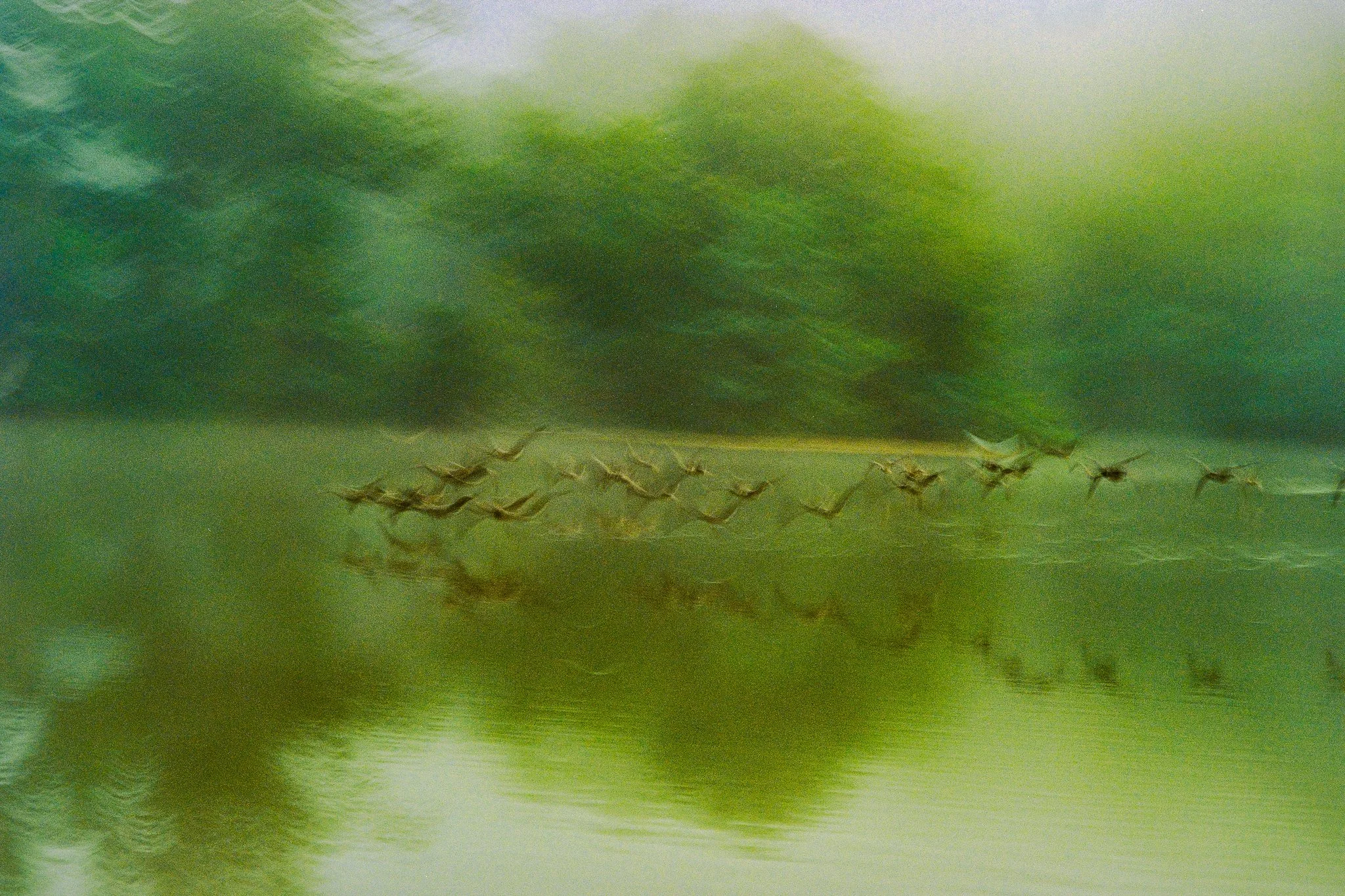 053_FULL_01_XXX 2.jpg