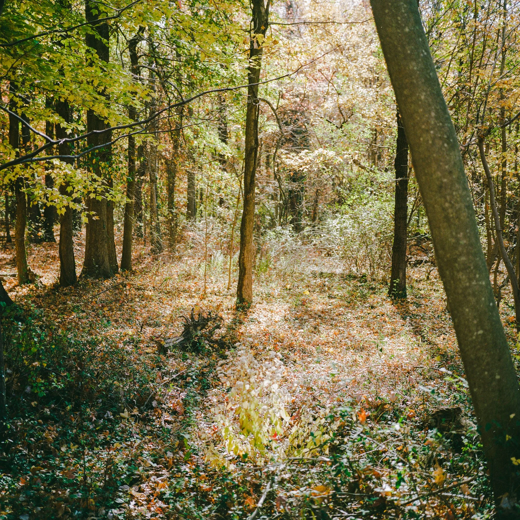 “B.L.I.S.S.” A Photo Essay