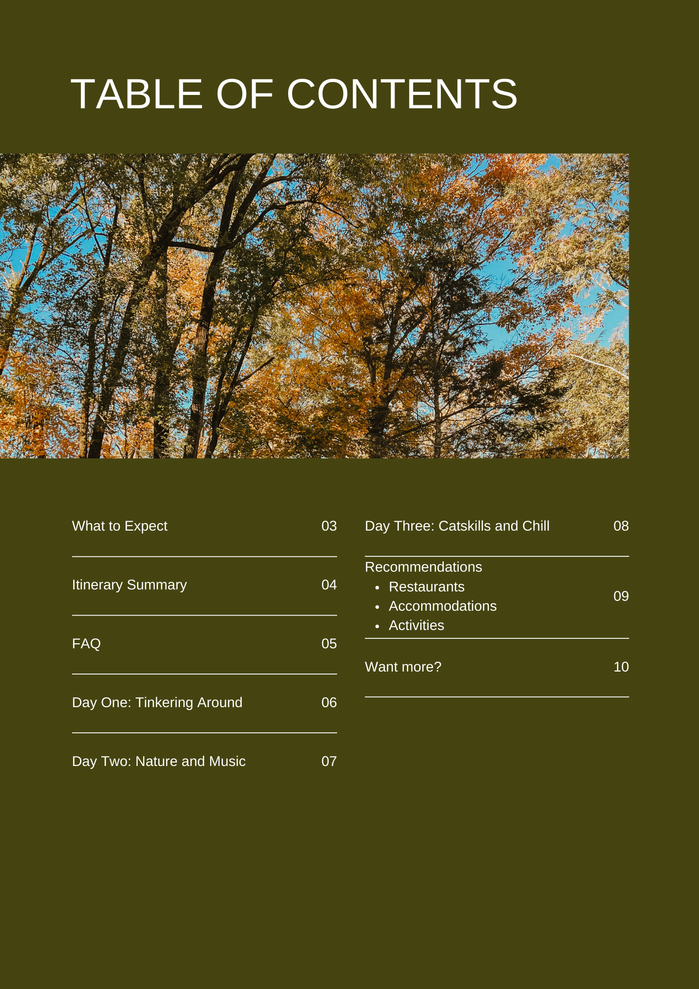 Table of Contents (3).png