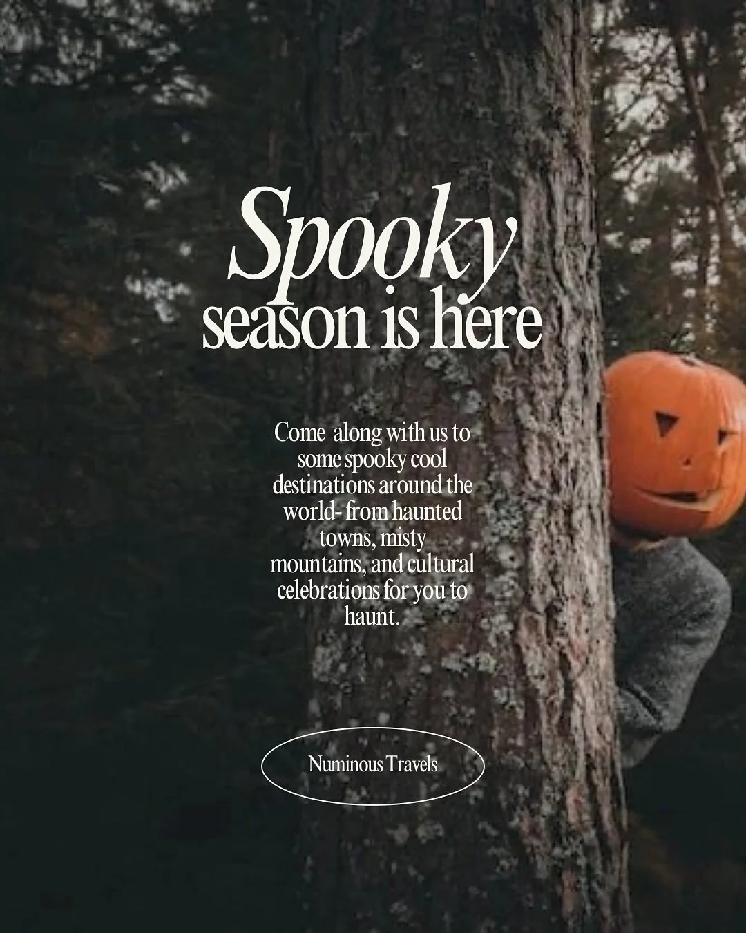 It’s here— our monthly destination inspiration post! 
October is all about spooky vibes 👻 🍁 and what better way to celebrate than in some of the spookiest places around the world?
From haunted mansions and castles, creepy cemeteries,