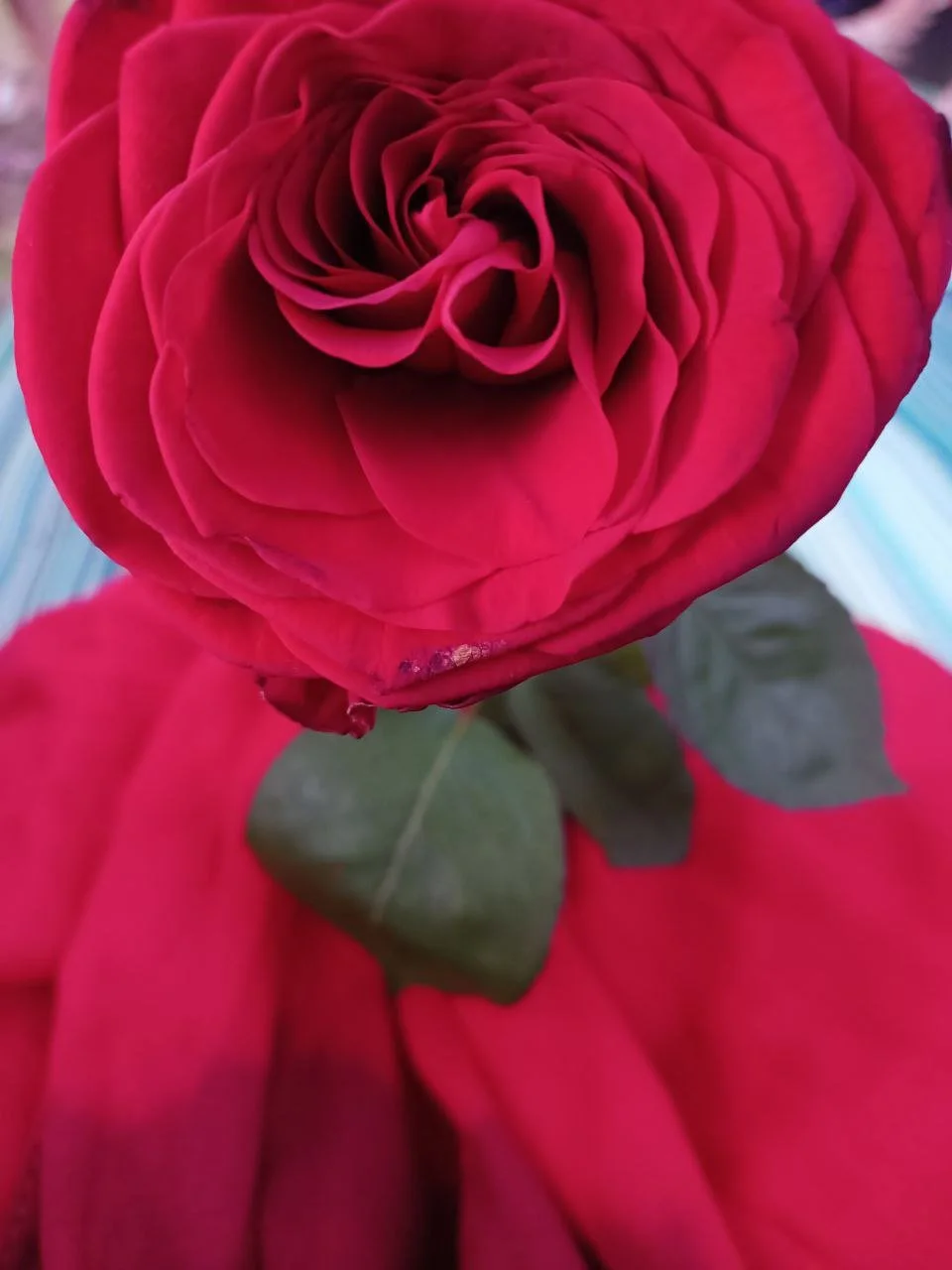 Week end “Au Coeur de l’Amour”