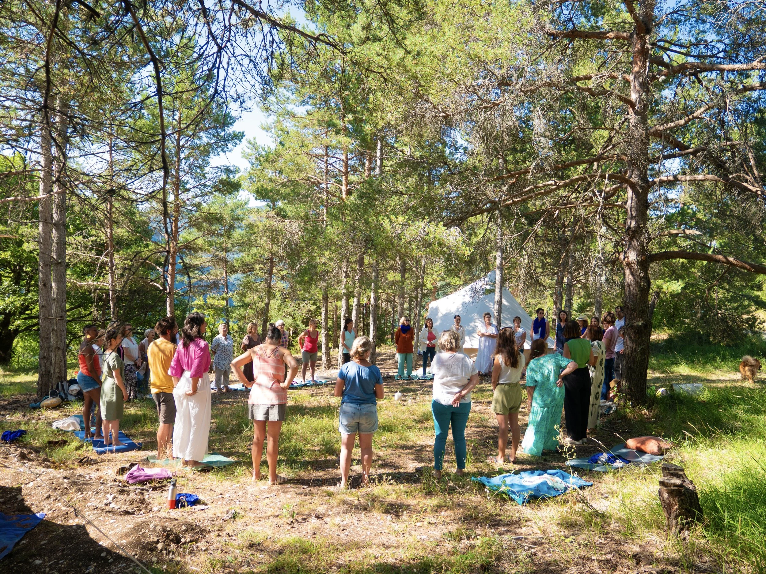 Rassemblement Tribu " Appel du Mentor" Autogéré