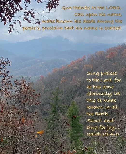 Give thanks… in ALL circumstances?